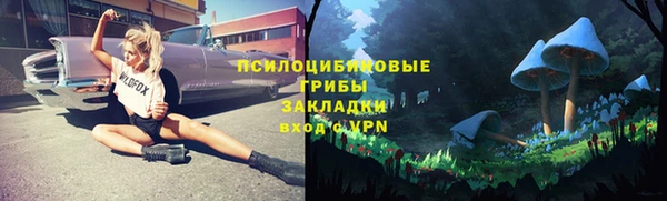 ГАЛЛЮЦИНОГЕННЫЕ ГРИБЫ Баксан