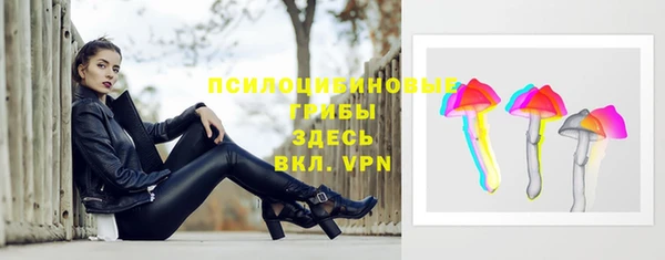 ГАЛЛЮЦИНОГЕННЫЕ ГРИБЫ Баксан