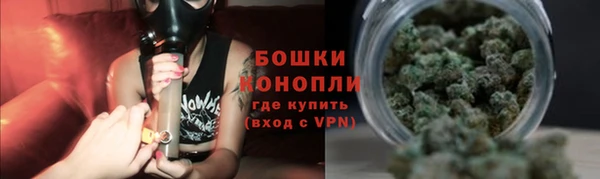 ГАЛЛЮЦИНОГЕННЫЕ ГРИБЫ Баксан