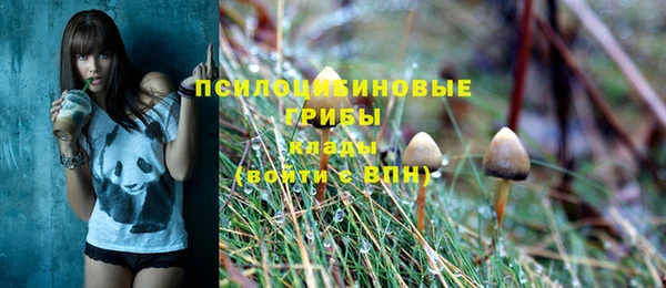 гидропоника Балабаново
